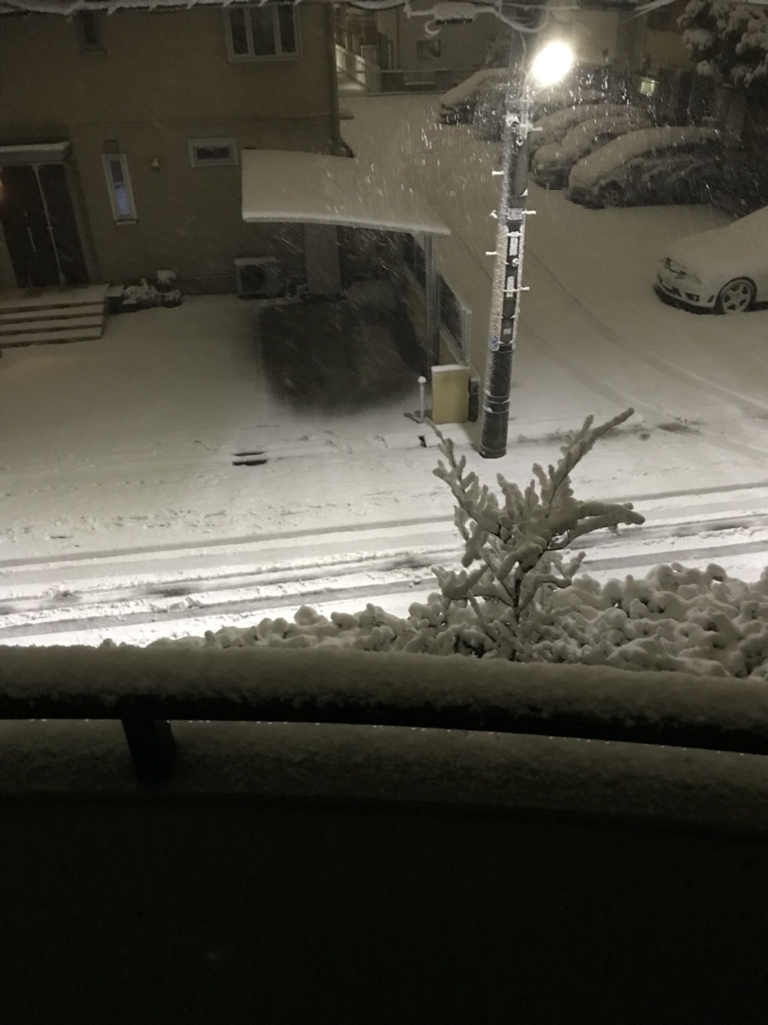 東京、大雪のお片付け！ヤバすぎます(–)