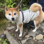 那須岳研修登山レポート｜順応力を鍛え、人とのつながりを深めた3日間