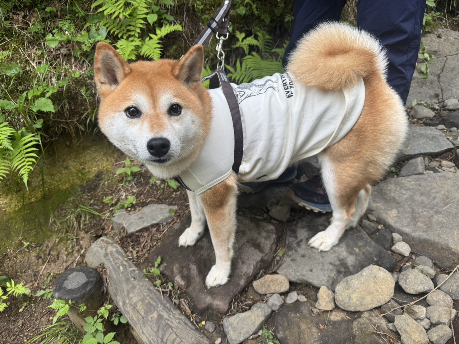 那須岳研修登山レポート｜順応力を鍛え、人とのつながりを深めた3日間